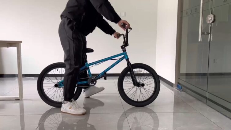 11 Best Inexpensive BMX Bikes 2024 For Adults & Kids